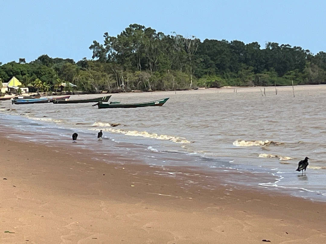 Galibi Nature Reserve-Marowijne District必去景点