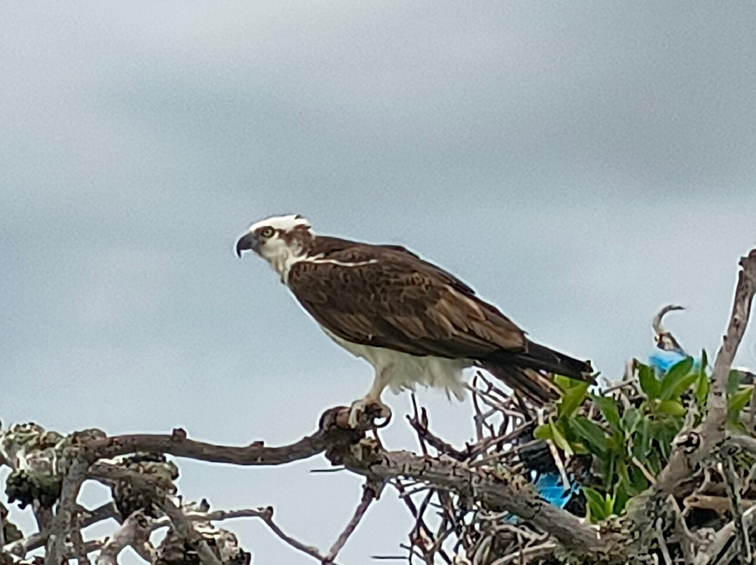 Diamante Maya Tours-锡安卡恩必去景点
