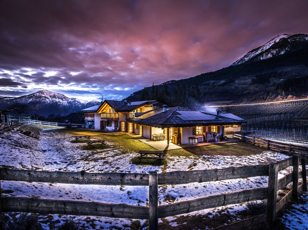 Berry House Azienda Agricola Agrituristica