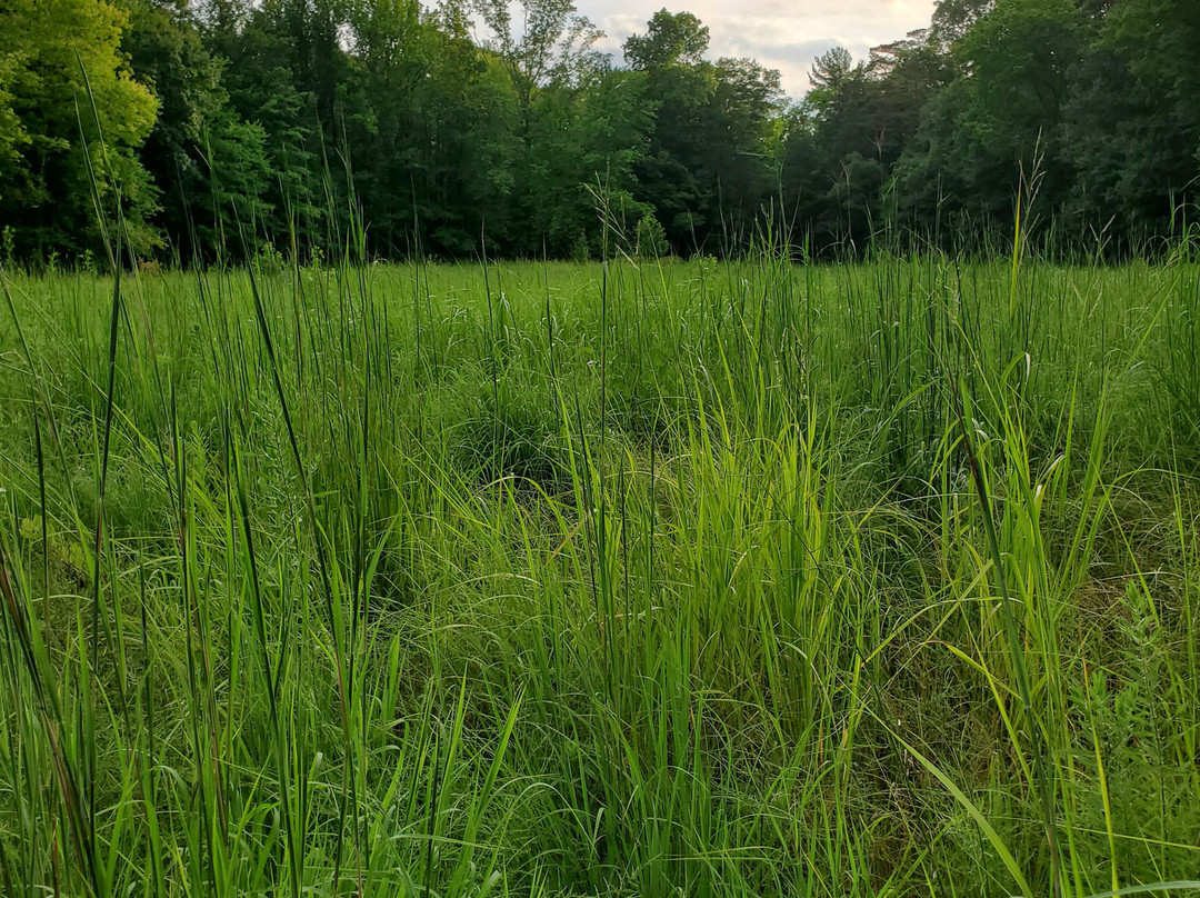 Brecksville Reservation-Brecksville必去景点