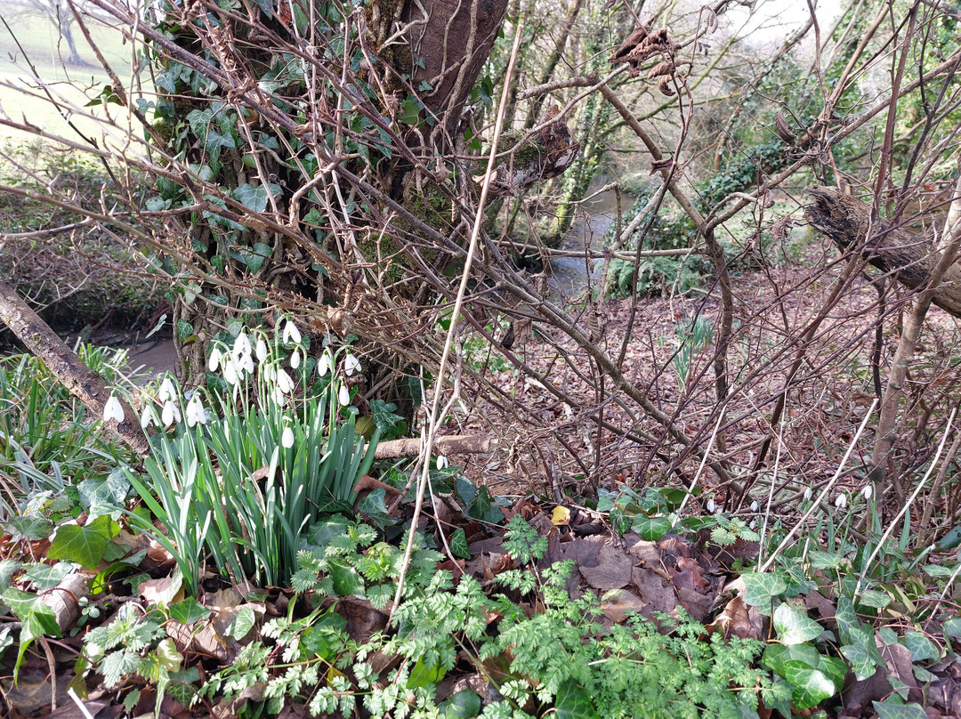 Higher Churchtown Farm主图