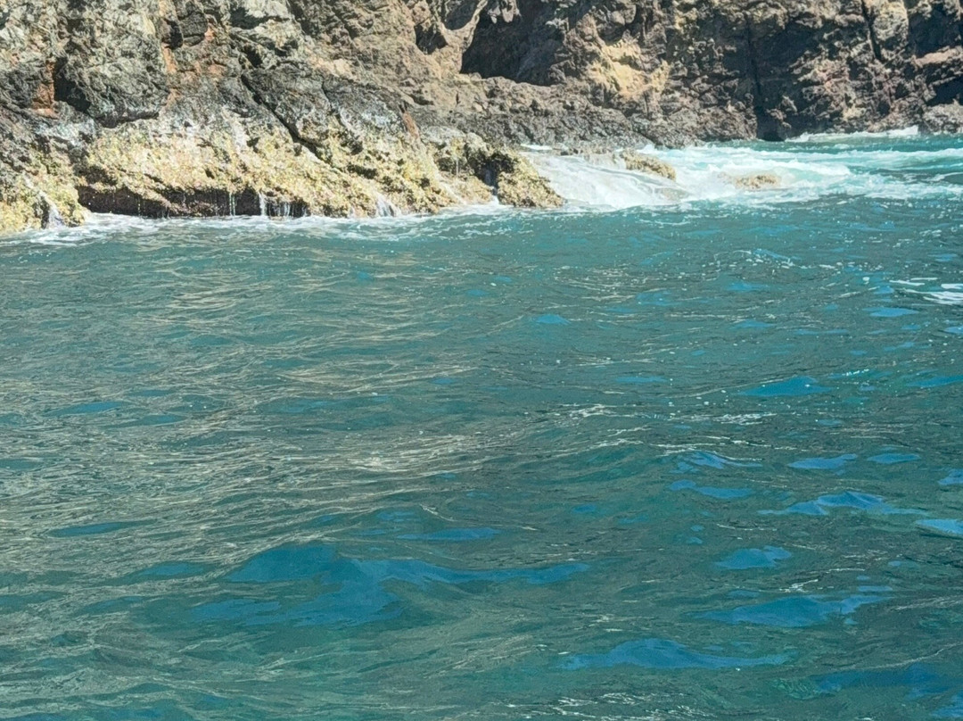 Sol Fishing Tours景点图片