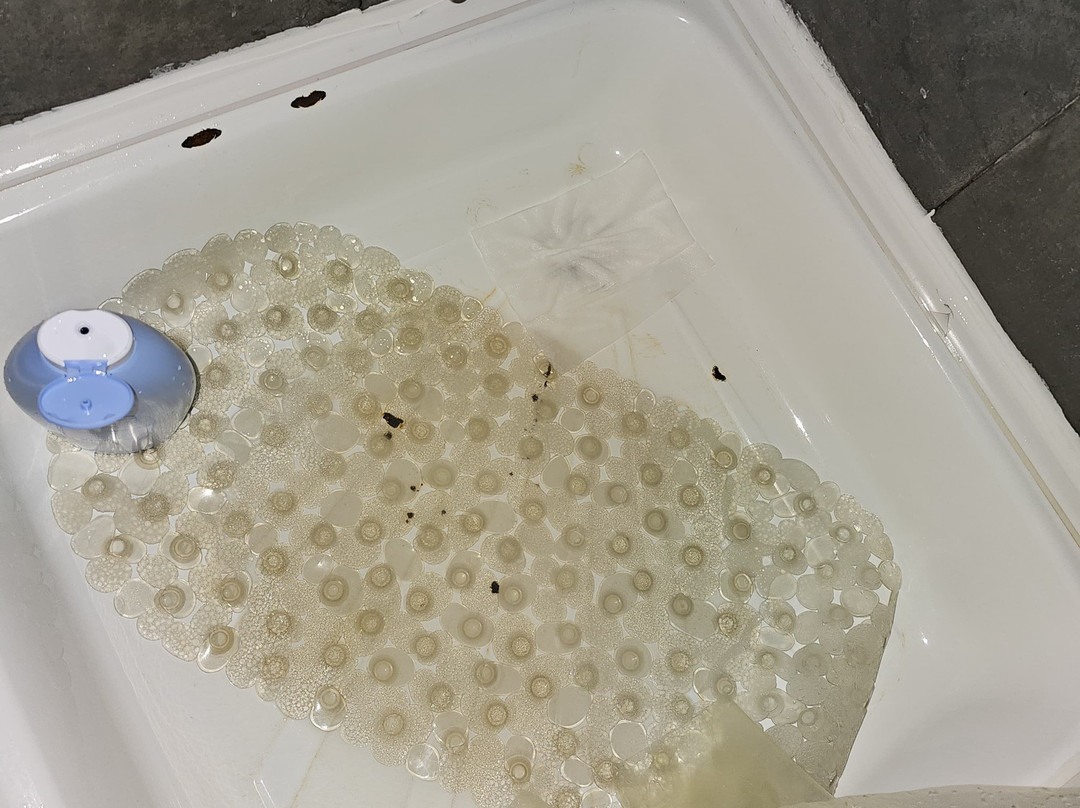 Cabanas Ensenada Bosque Nativo主图