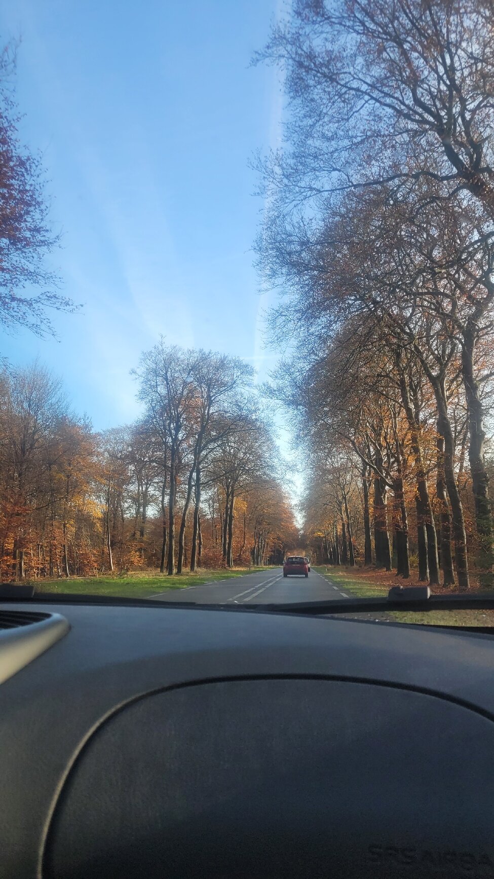 ReeHorst-官方