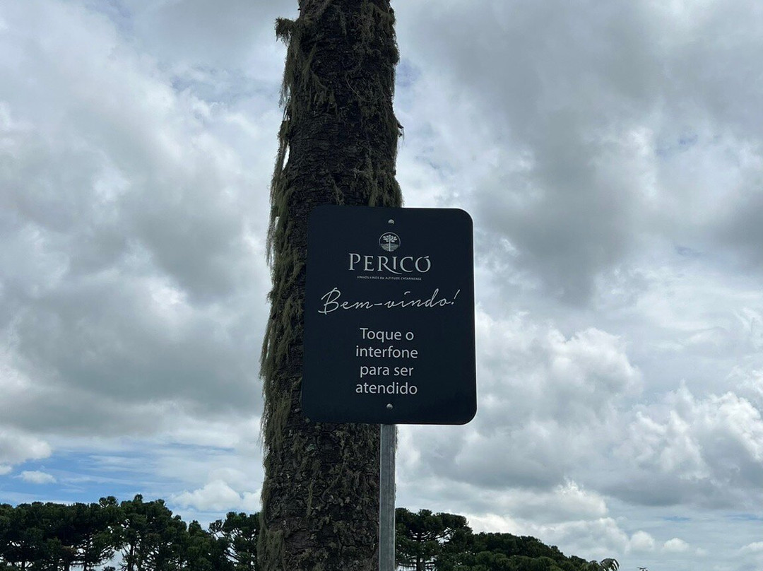 Vinícola Pericó景点图片