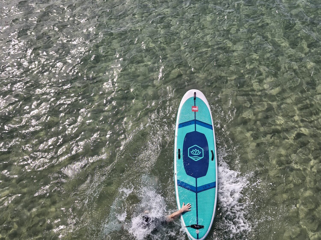 Stand Up Paddle Boarding Shellharbour景点图片