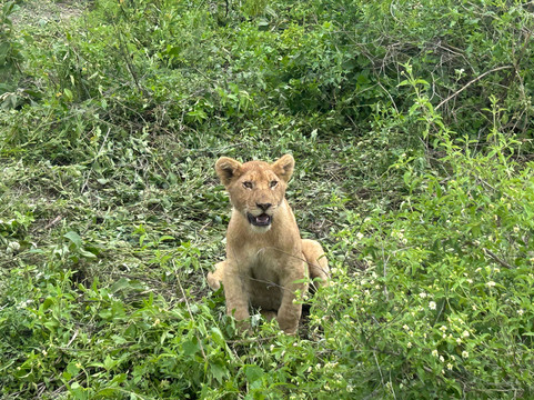Oserok Trips-莫西必去景点