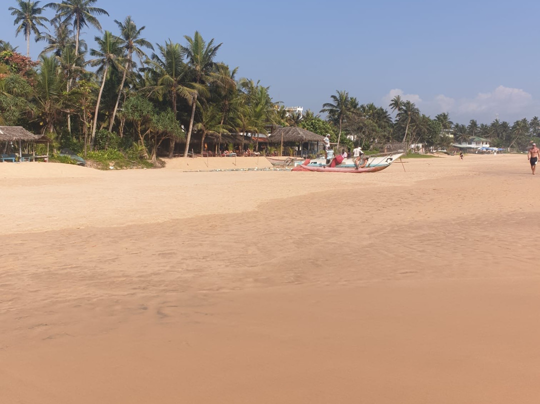 Villa Saffron Hikkaduwa主图