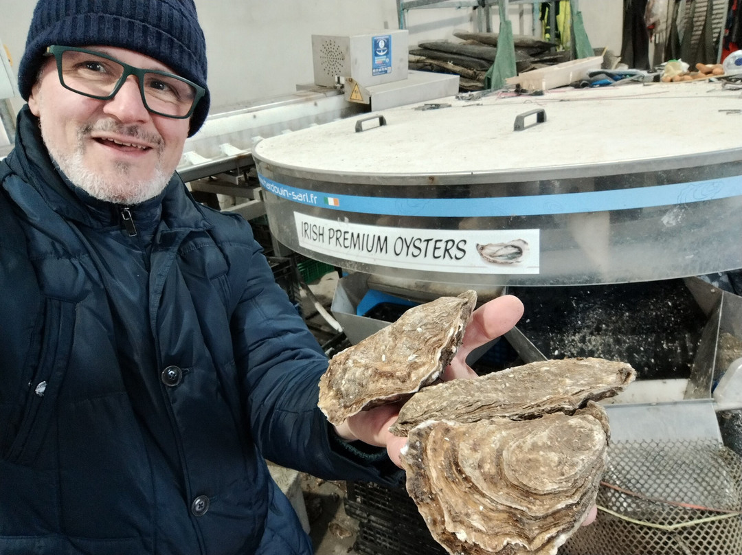 Irish Premium Oysters景点图片