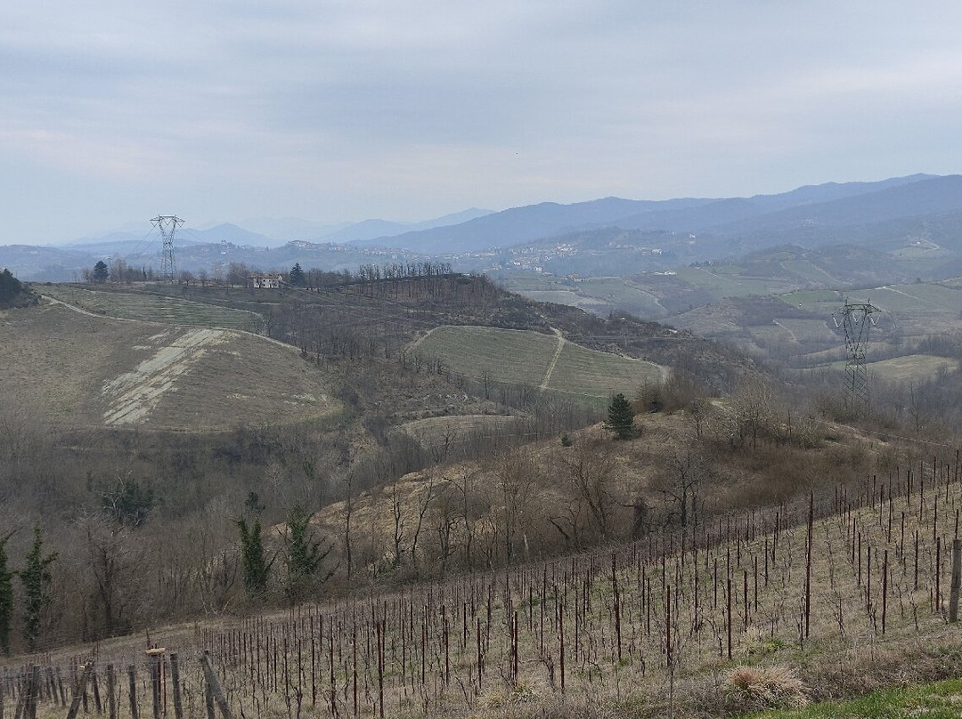 Azienda Agricola Cascina Belvedere 1932-Mornese必去景点