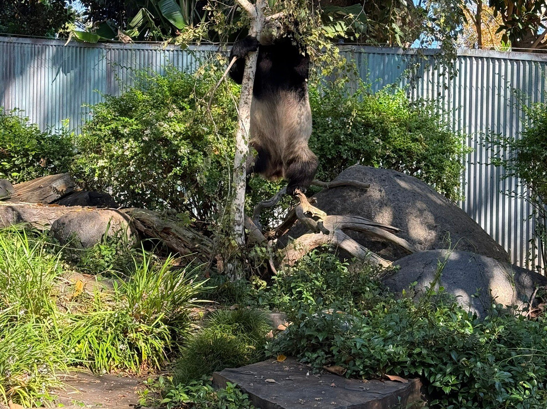 阿德莱德动物园-阿德莱德必去景点