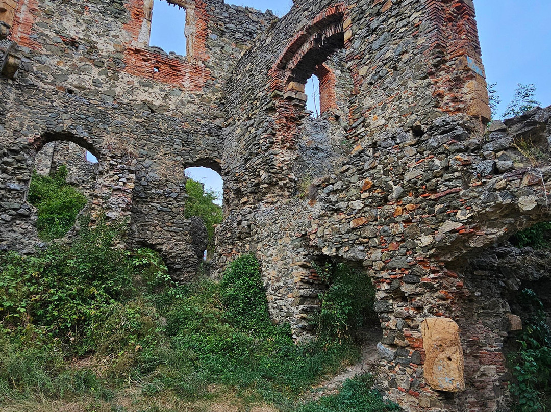 Cetatea Soimos景点图片