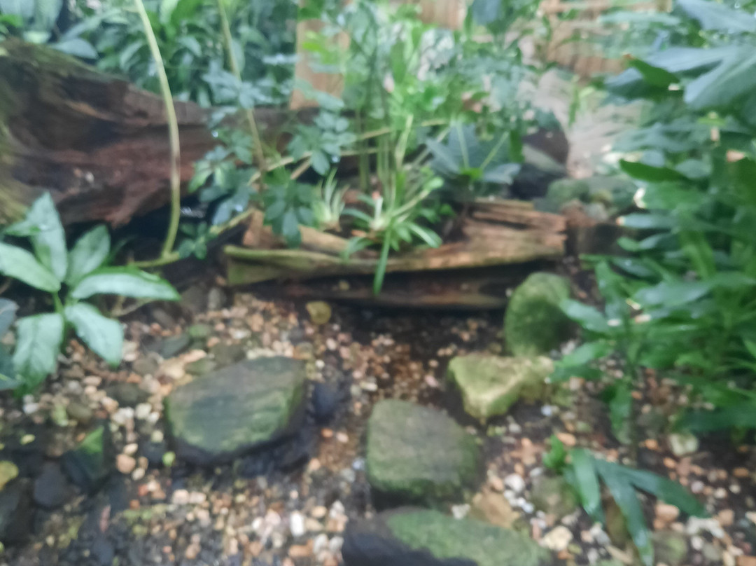 Biosphäre Potsdam-波茨坦必去景点