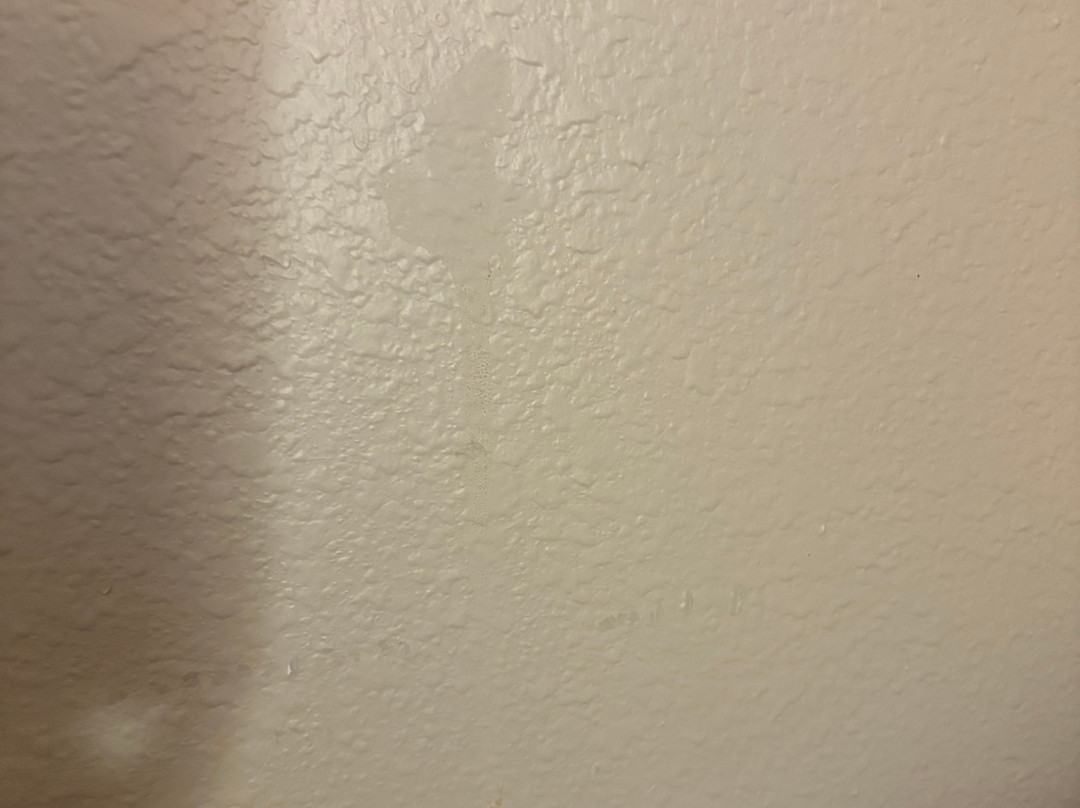 Comfort Inn & Suites主图