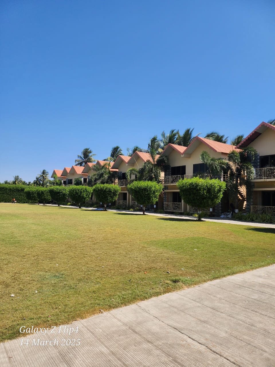 The Divine Resort-官方