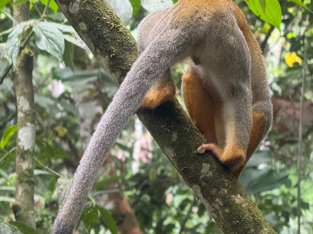 Raft Amazonia-Tena必去景点