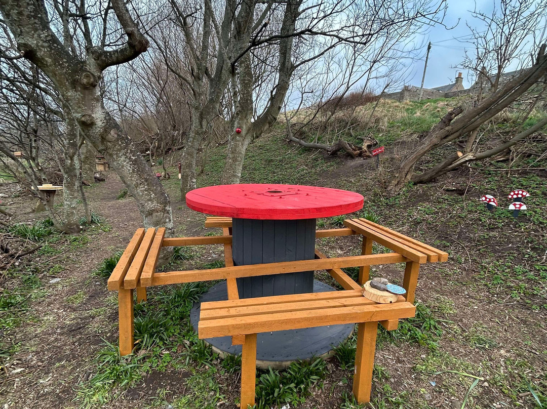 Portgordon Fairy Walk-Buckie必去景点