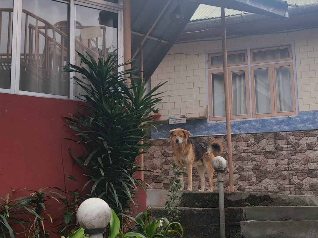 Malinggo Homestay主图