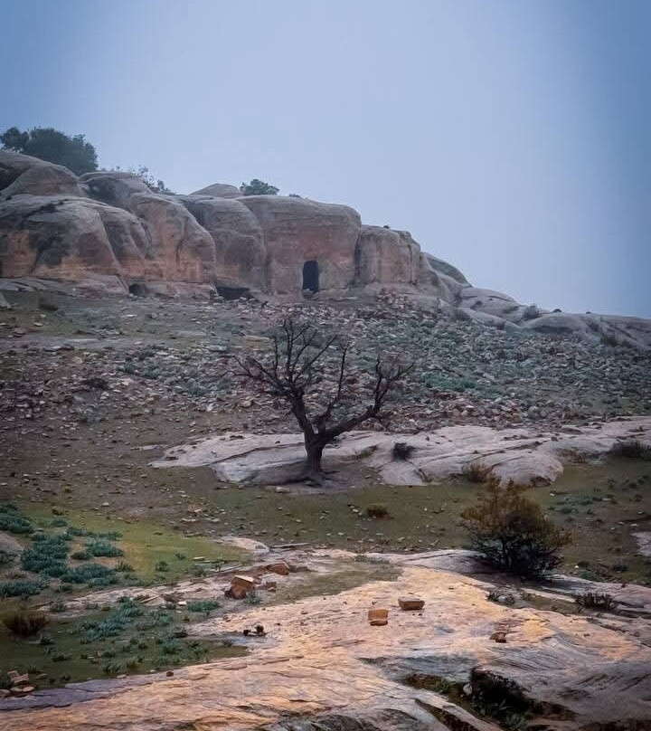 Dana Rose tours-Dana必去景点