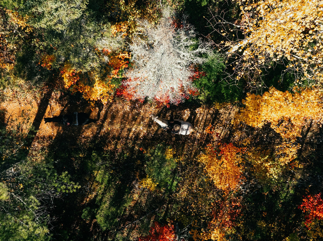 Les Montagnards de Charlevoix-Baie-St-Paul必去景点