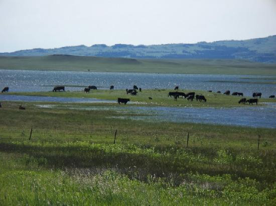 Crazy Mountain Inn主图