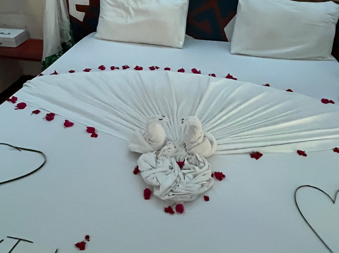 Tropicana Kendwa Beach Hotel主图