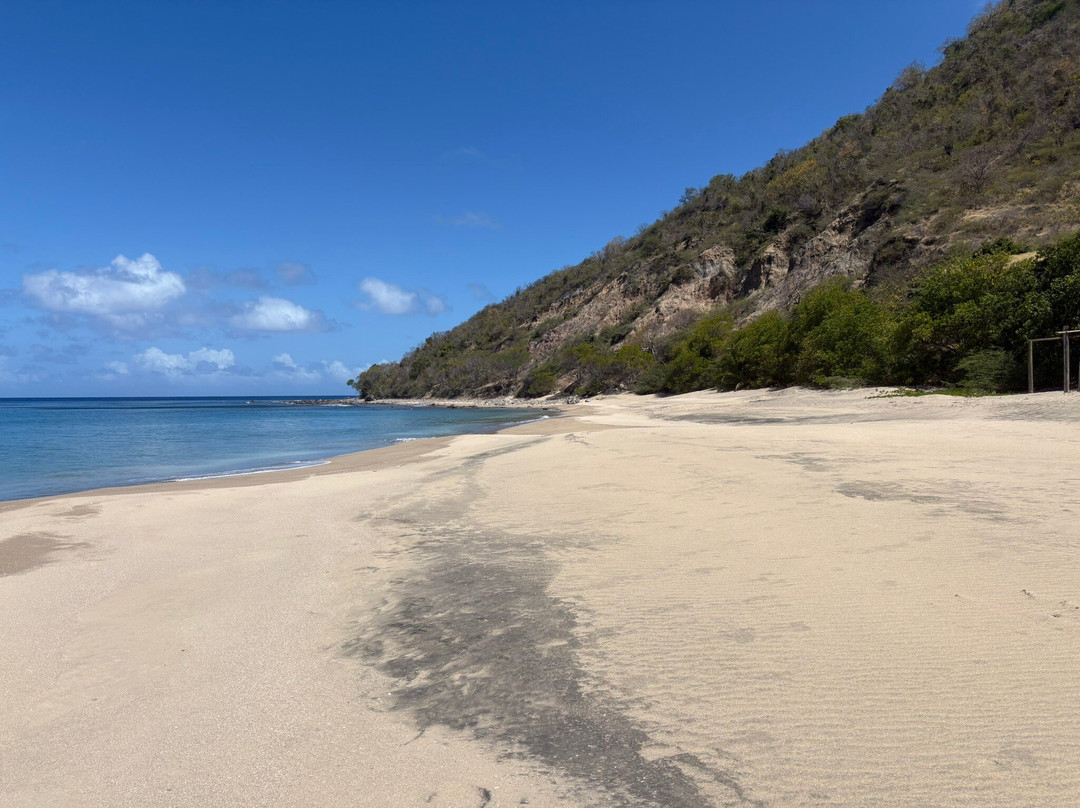 Rendezvous Beach-蒙特塞拉特必去景点