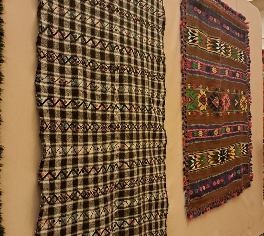 Muzeul Olteniei景点图片