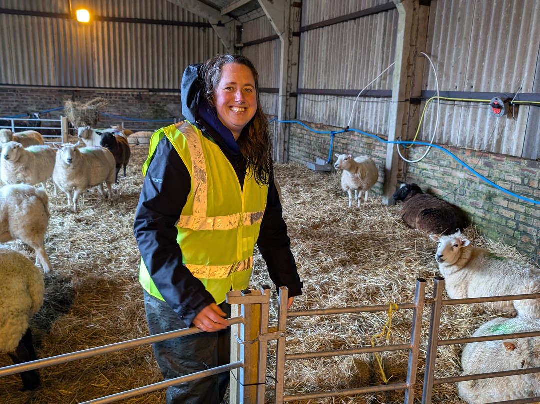 Craigbank Farm景点图片