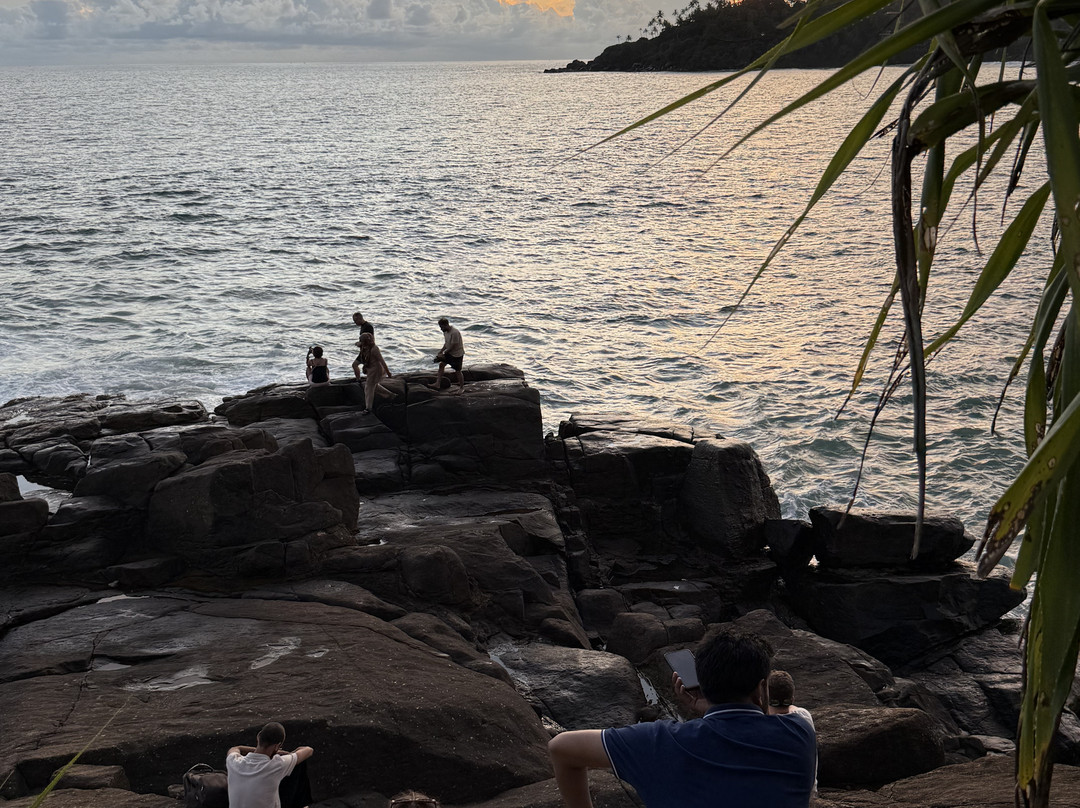 Wise Friends Tours-Wennappuwa必去景点