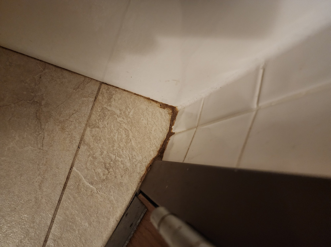 Drury Inn & Suites Hayti Caruthersville主图