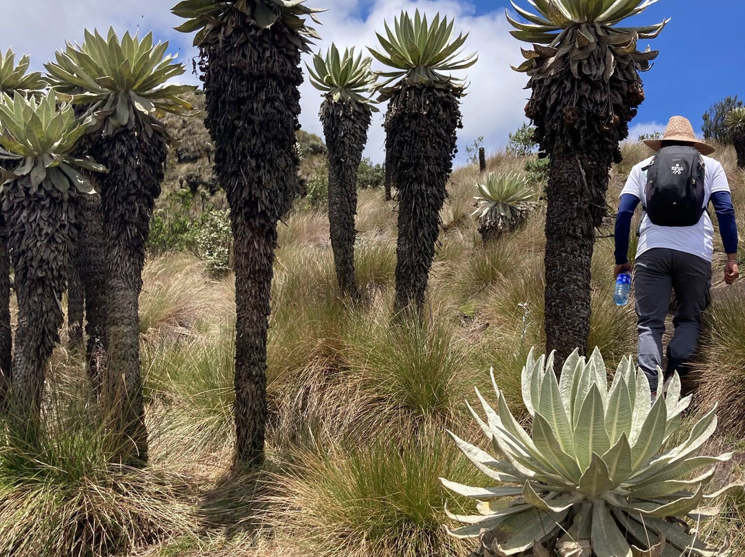 Mongui Travels-Mongui必去景点