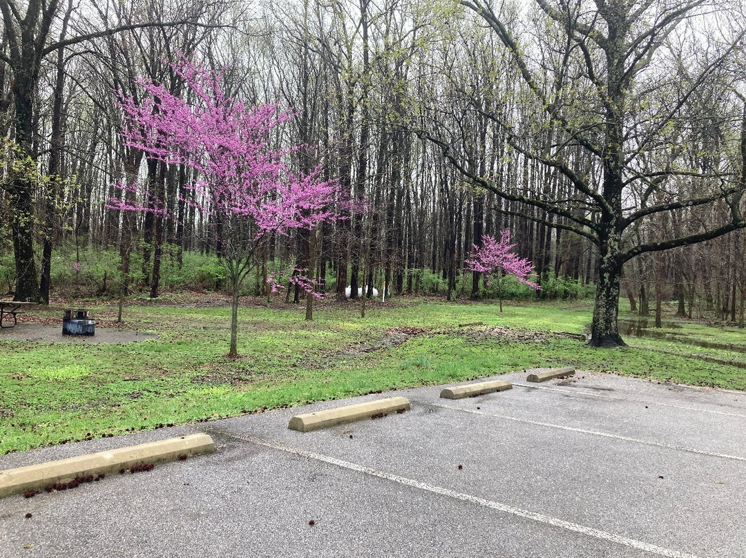 Beall Woods State Park-Mount Carmel必去景点