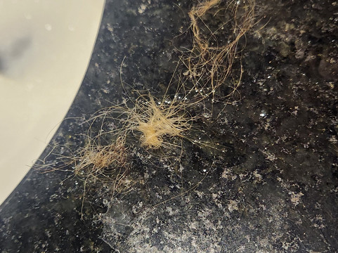 里约热内卢格雷别墅主图