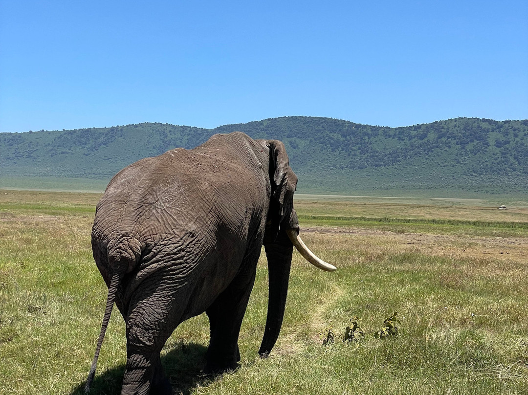 Nature Horizons Tours-纽约市必去景点