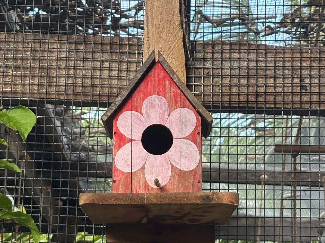 South Farm Panglao- Bohol-Panglao必去景点