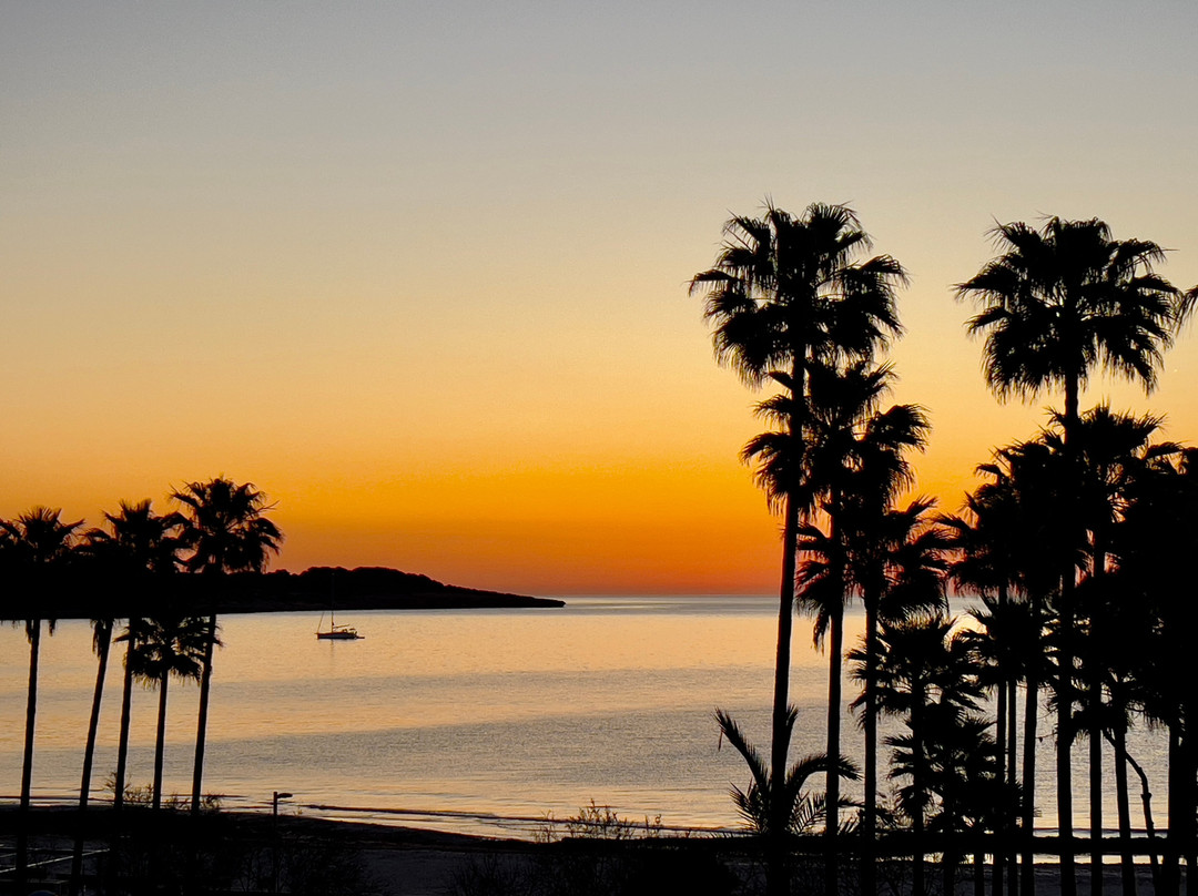 Hipotels Mediterráneo Hotel主图