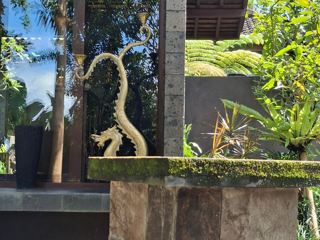 Ananda Spa by Samanvaya景点图片