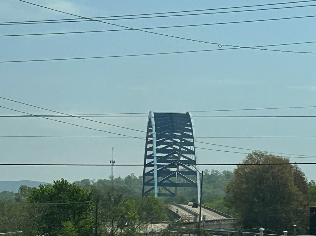 Shelby Rhinehart Bridge-South Pittsburg必去景点