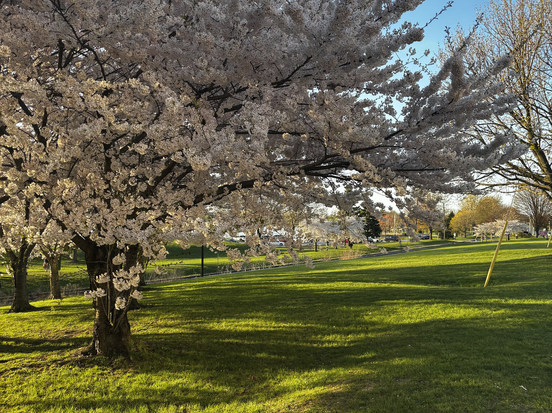 Centennial Park景点图片