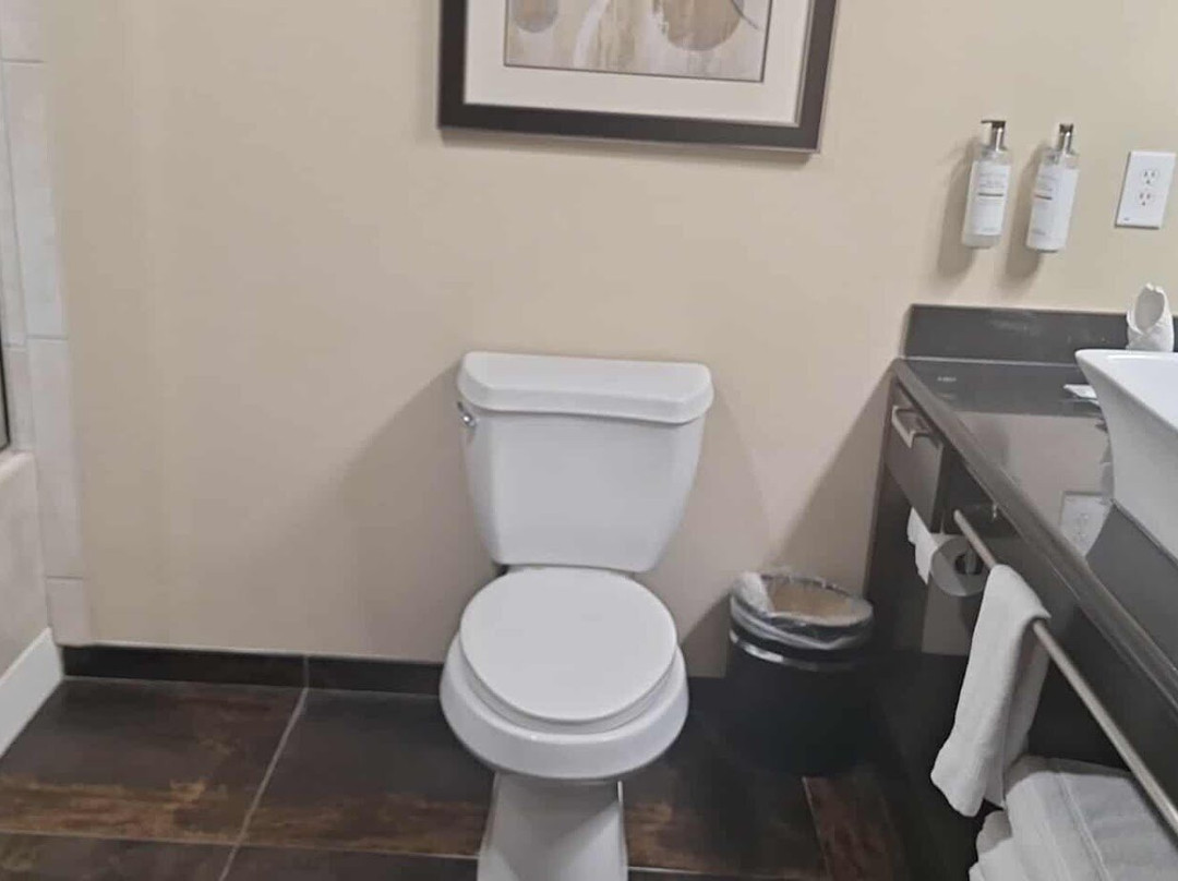 Best Western Premier Crown Chase Inn & Suites主图