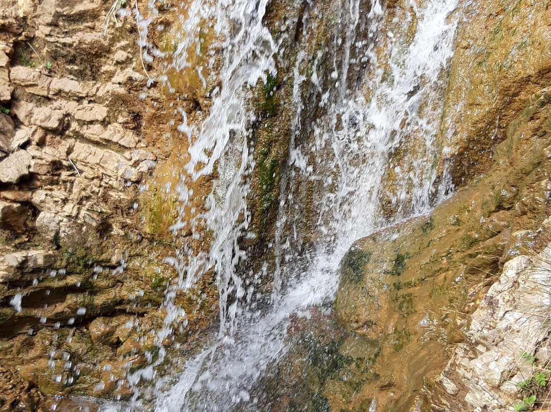 San Georgio Hotel主图