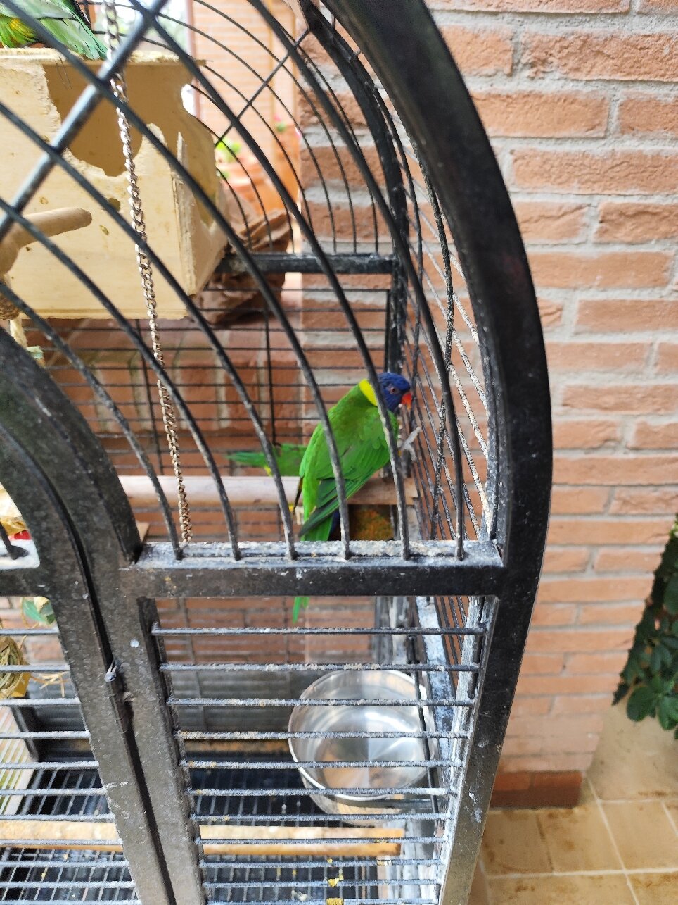Hotel Campiglione-官方