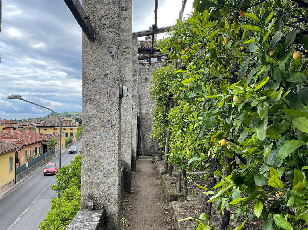 Limonaia La Malora-加尔尼亚诺必去景点