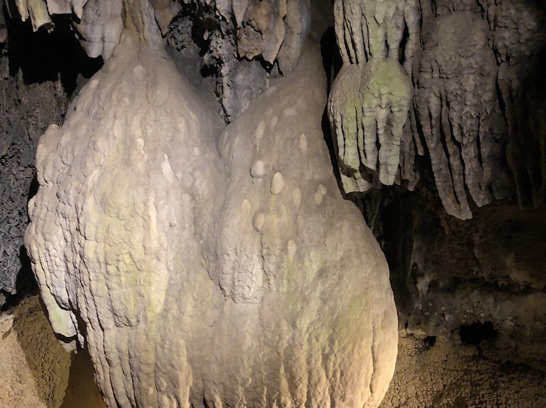 Les Grottes de Villecroze景点图片