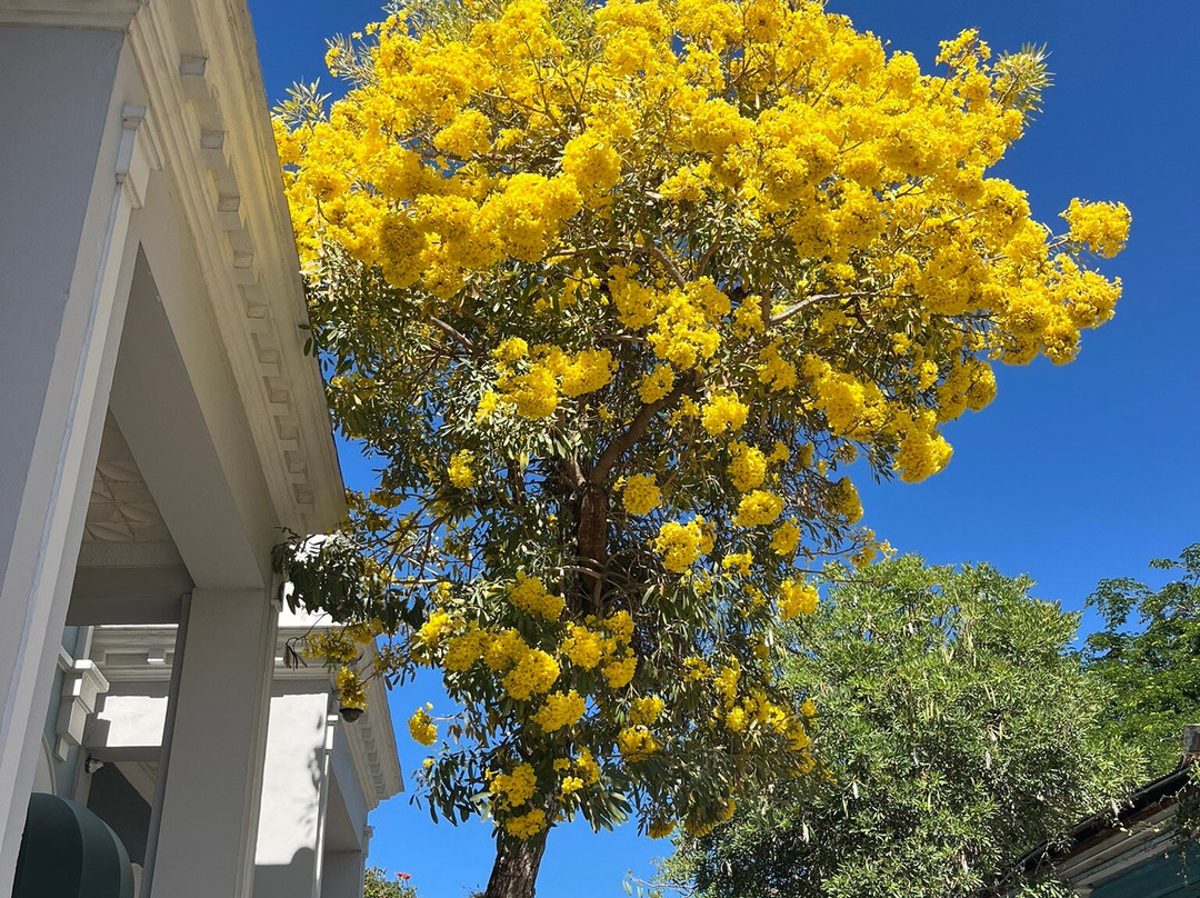 贝尔吉卡酒店主图