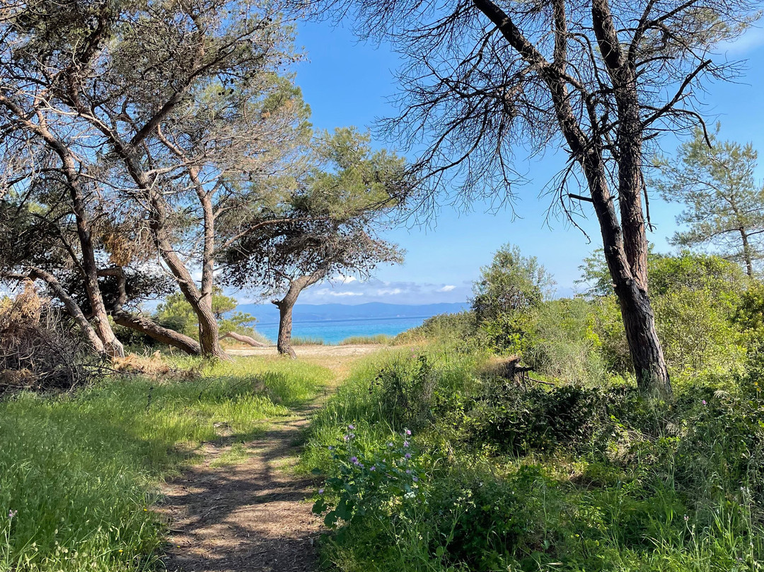 E-BIKE HALKIDIKI-Vourvourou必去景点