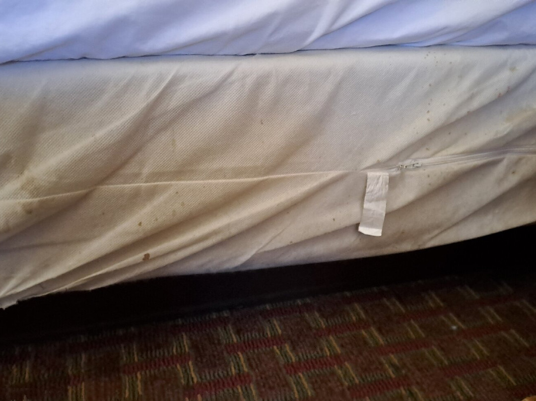 National 9 Inn主图