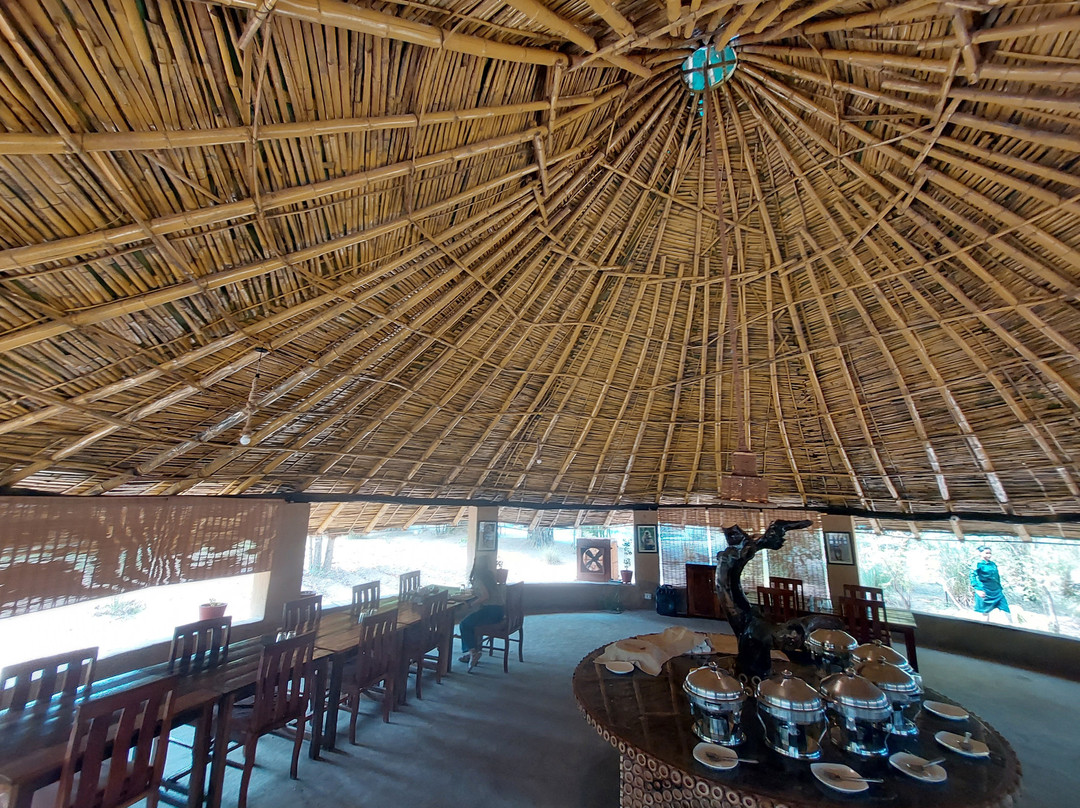 Kanha Jungle Resort主图