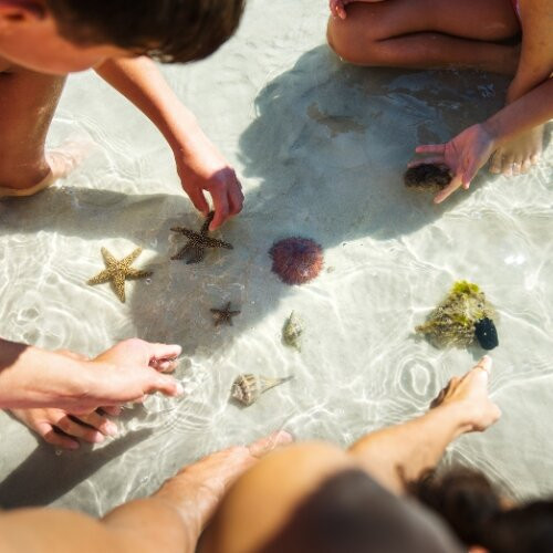 SUP Englewood-恩格尔伍德必去景点